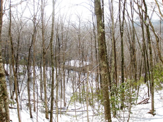 lookingdownfromwhippoorwill.jpg