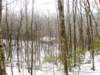lookingdownfromwhippoorwill_small.jpg