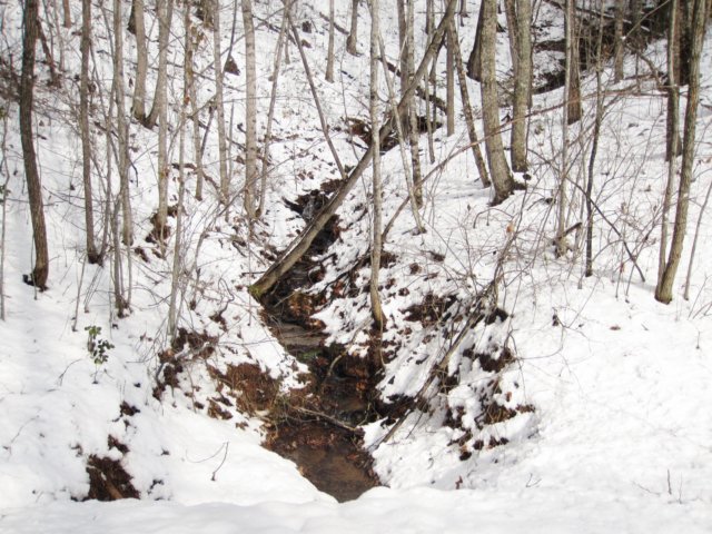 rushingcreekontrimontmountainrd.jpg