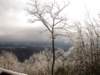 snowjanuary20102018_small.jpg