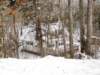 snowjanuary20102031_small.jpg