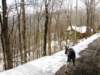 snowjanuary20102032_small.jpg