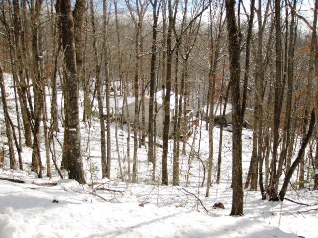 snowjanuary20102042.jpg