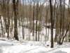 snowjanuary20102042_small.jpg