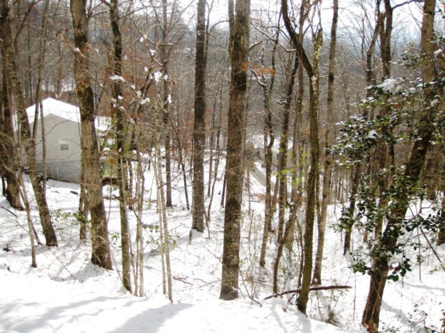 snowjanuary20102044.jpg