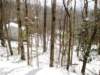 snowjanuary20102044_small.jpg