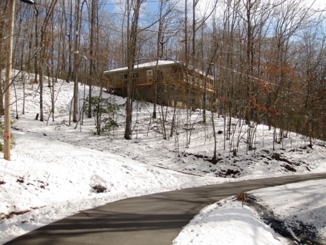 snowjanuary20102047.jpg